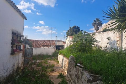Villa i Albernoa e Trindade, Beja, Albernoa e Trindade - € 79.000 | Ref: BJ98998 - foto 19