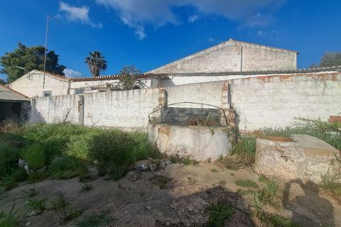 Villa i Albernoa e Trindade, Beja, Albernoa e Trindade - € 79.000 | Ref: BJ98998 - foto 21