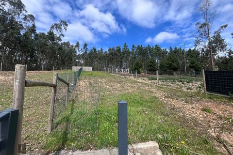 Villa i Pombal, Leiria, Pombal - € 405.000 | Ref: P205/2026 - foto 31