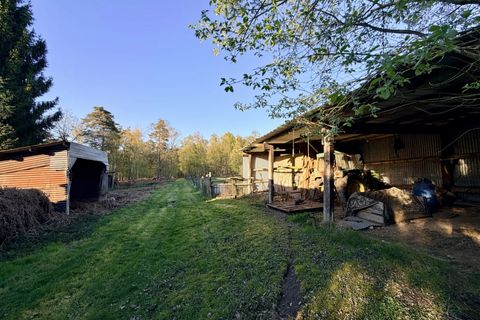 Villa i Bernay, Eure, Bernay - € 282 000 | Ref: 4827 - foto 8