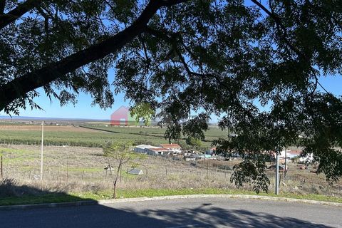Apartament a Beja, Beja, Beja - € 135.000 | Ref: 007.556.531 - foto 14