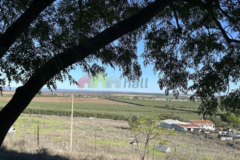 Apartament a Beja, Beja, Beja - € 135.000 | Ref: 007.556.531 - foto 15