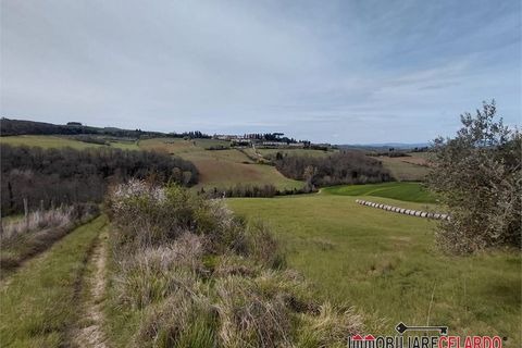 Terra a Poggibonsi, Siena, Poggibonsi - € 55.000 | Ref: MZD-2416 - foto 2