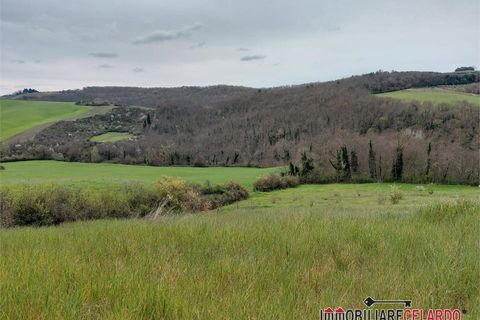 Terra a Poggibonsi, Siena, Poggibonsi - € 55.000 | Ref: MZD-2416 - foto 4