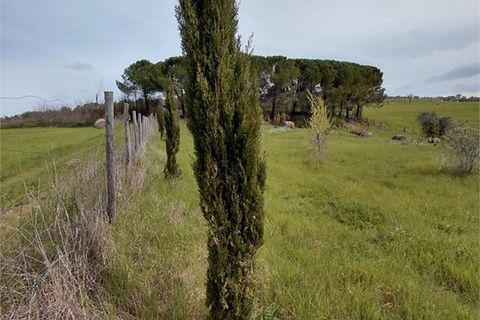 Terra a Poggibonsi, Siena, Poggibonsi - € 55.000 | Ref: MZD-2416 - foto 5