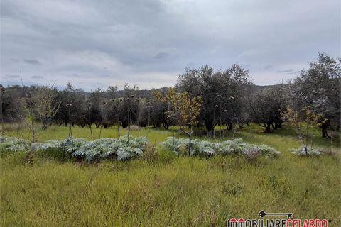 Terra a Poggibonsi, Siena, Poggibonsi - € 55.000 | Ref: MZD-2416 - foto 6