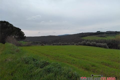 Terra a Poggibonsi, Siena, Poggibonsi - € 55.000 | Ref: MZD-2416 - foto 7