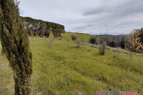 Terra a Poggibonsi, Siena, Poggibonsi - € 55.000 | Ref: MZD-2416 - foto 11