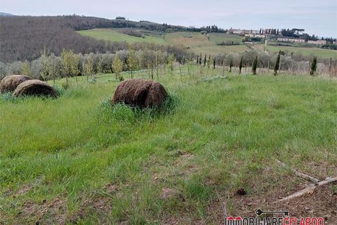 Terra a Poggibonsi, Siena, Poggibonsi - € 55.000 | Ref: MZD-2416 - foto 12
