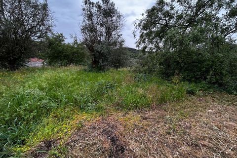 Byhus i Tomar, Santarem, Tomar - € 28.300 | Ref: A192026 - foto 4