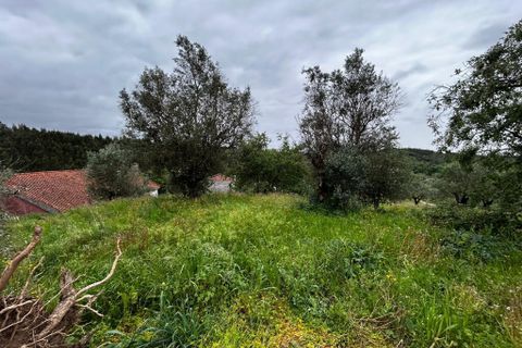 Byhus i Tomar, Santarem, Tomar - € 28.300 | Ref: A192026 - foto 5