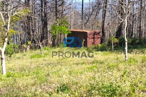 Landejendom i Resende, Viseu, Resende - € 270.000 | Ref: #280 - foto 5