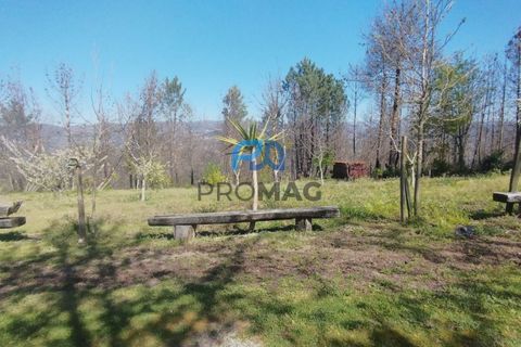 Landejendom i Resende, Viseu, Resende - € 270.000 | Ref: #280 - foto 12