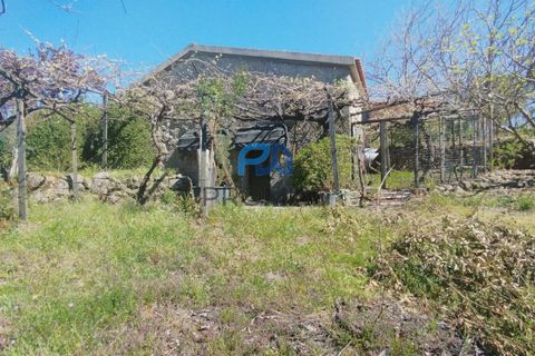 Landejendom i Resende, Viseu, Resende - € 270.000 | Ref: #280 - foto 37