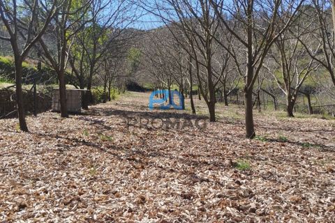 Landejendom i Resende, Viseu, Resende - € 270.000 | Ref: #280 - foto 42