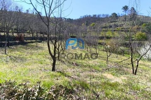 Landejendom i Resende, Viseu, Resende - € 270.000 | Ref: #280 - foto 43