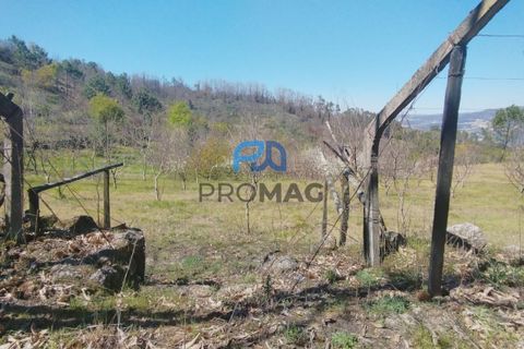 Landejendom i Resende, Viseu, Resende - € 270.000 | Ref: #280 - foto 44