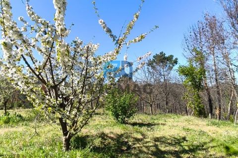 Landejendom i Resende, Viseu, Resende - € 270.000 | Ref: #280 - foto 45