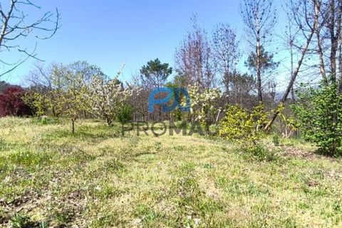 Landejendom i Resende, Viseu, Resende - € 270.000 | Ref: #280 - foto 47