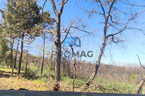 Landejendom i Resende, Viseu, Resende - € 270.000 | Ref: #280 - foto 48