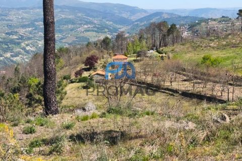 Landejendom i Resende, Viseu, Resende - € 270.000 | Ref: #280 - foto 49