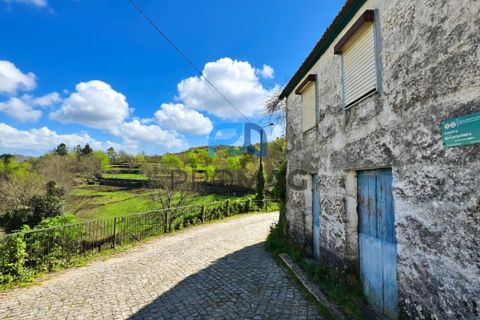 Villa i Baiao, Porto, Baiao - € 37.500 | Ref: #281 - foto 3