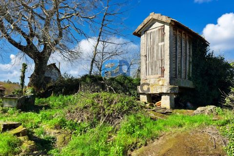 Villa i Baiao, Porto, Baiao - € 37.500 | Ref: #281 - foto 37