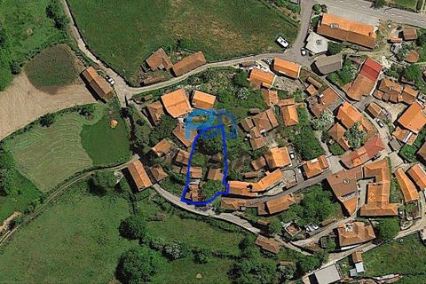 Villa i Baiao, Porto, Baiao - € 37.500 | Ref: #281 - foto 45