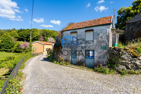 Villa a Baiao, Porto, Baiao - € 37.500 | Ref: #281 - foto 14