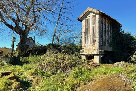 Villa a Baiao, Porto, Baiao - € 37.500 | Ref: #281 - foto 39