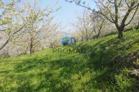 Landejendom i Resende, Viseu, Resende - € 270.000 | Ref: #282 - foto 4