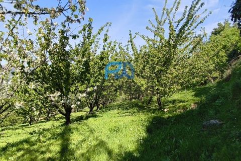 Landejendom i Resende, Viseu, Resende - € 270.000 | Ref: #282 - foto 5