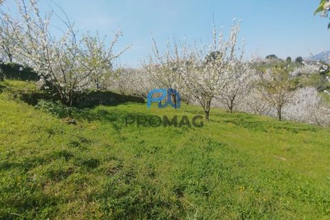 Landejendom i Resende, Viseu, Resende - € 270.000 | Ref: #282 - foto 6