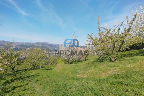 Landejendom i Resende, Viseu, Resende - € 270.000 | Ref: #282 - foto 7