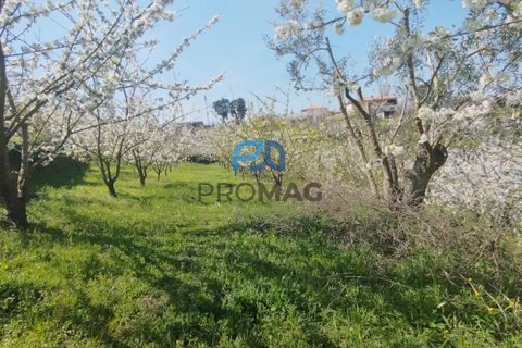 Landejendom i Resende, Viseu, Resende - € 270.000 | Ref: #282 - foto 8