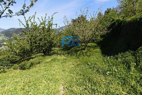 Landejendom i Resende, Viseu, Resende - € 270.000 | Ref: #282 - foto 9