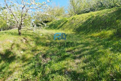 Landejendom i Resende, Viseu, Resende - € 270.000 | Ref: #282 - foto 11