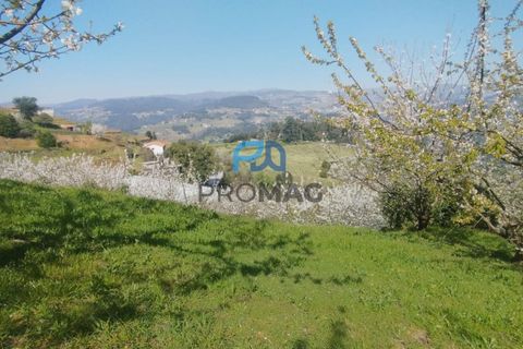 Landejendom i Resende, Viseu, Resende - € 270.000 | Ref: #282 - foto 12