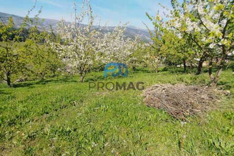 Landejendom i Resende, Viseu, Resende - € 270.000 | Ref: #282 - foto 13