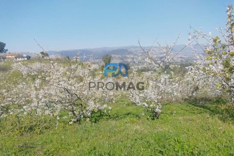 Landejendom i Resende, Viseu, Resende - € 270.000 | Ref: #282 - foto 14