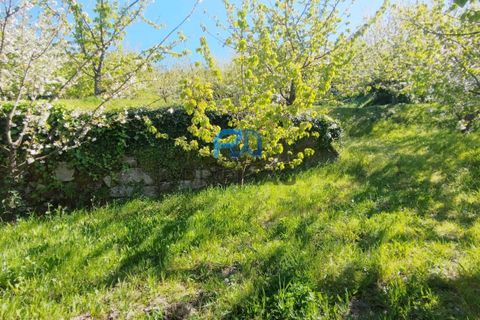 Landejendom i Resende, Viseu, Resende - € 270.000 | Ref: #282 - foto 15