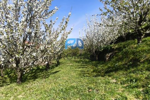 Landejendom i Resende, Viseu, Resende - € 270.000 | Ref: #282 - foto 16
