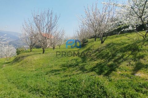 Landejendom i Resende, Viseu, Resende - € 270.000 | Ref: #282 - foto 17