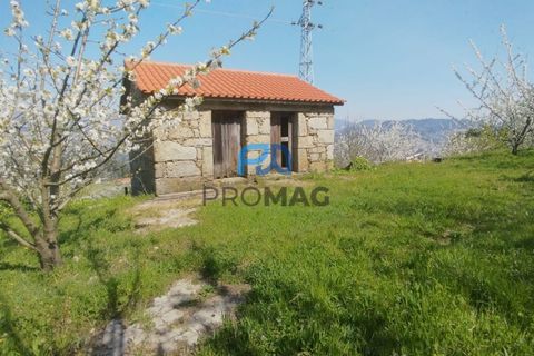 Landejendom i Resende, Viseu, Resende - € 270.000 | Ref: #282 - foto 18