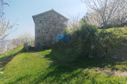 Landejendom i Resende, Viseu, Resende - € 270.000 | Ref: #282 - foto 20