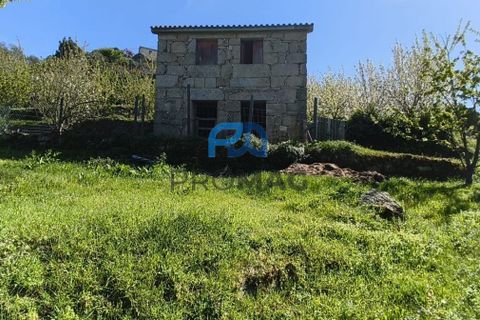 Landejendom i Resende, Viseu, Resende - € 270.000 | Ref: #282 - foto 28