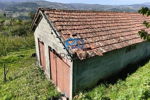 Landejendom i Resende, Viseu, Resende - € 270.000 | Ref: #282 - foto 32