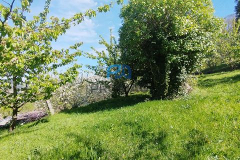 Landejendom i Resende, Viseu, Resende - € 270.000 | Ref: #282 - foto 38