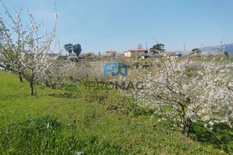 Landejendom i Resende, Viseu, Resende - € 270.000 | Ref: #282 - foto 40