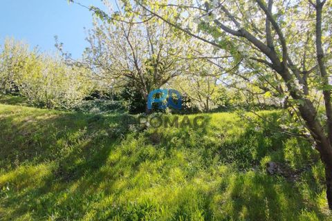 Landejendom i Resende, Viseu, Resende - € 270.000 | Ref: #282 - foto 41